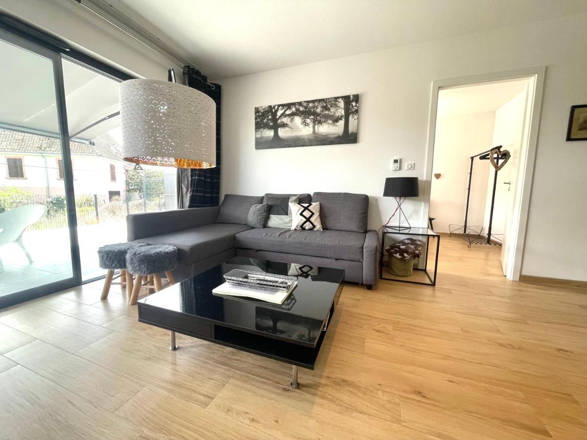 Magnifique 2 pièces, tout équipé, terrasse privée Colmar Exterior foto